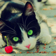 Image for article titled Wait, I'm Doing the Open Thread Tonight? Quick, Find Me a Cat With a Cherry!